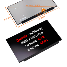 LED Display 15,6" 2560x1440 passend für BOE...