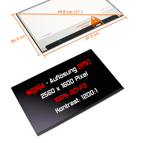 LED Display 17,0" 2560x1600 passend für LG Display LP170WQ1 (SP)(A1)