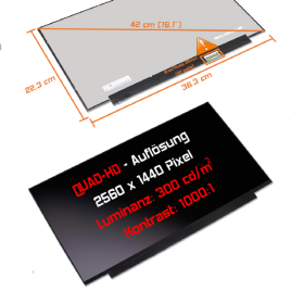 LED Display 16,1" 2560x1440 passend für BOE...